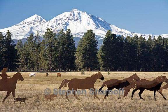 horses metal and real graphic